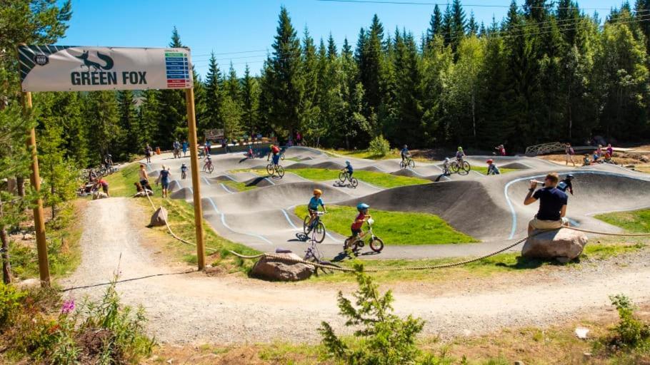 In The Middle Of Trysil Fjellet - Welcome Center - Apartment With 4 Bedrooms And Sauna - By Bike Arena And Ski Lift Exterior foto